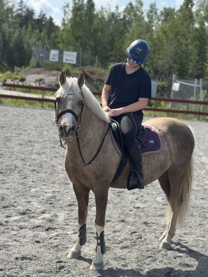 Media 3 av Nexis Lendox