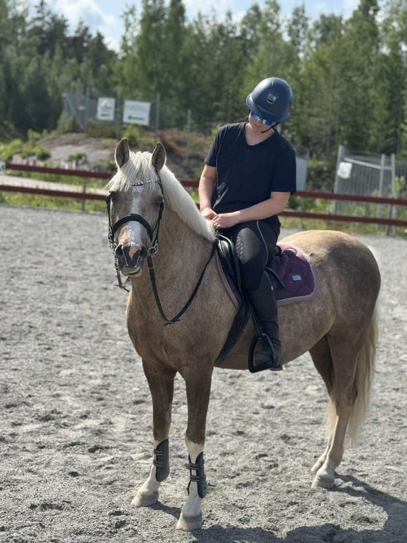 Bild 3 av Nexis Lendox