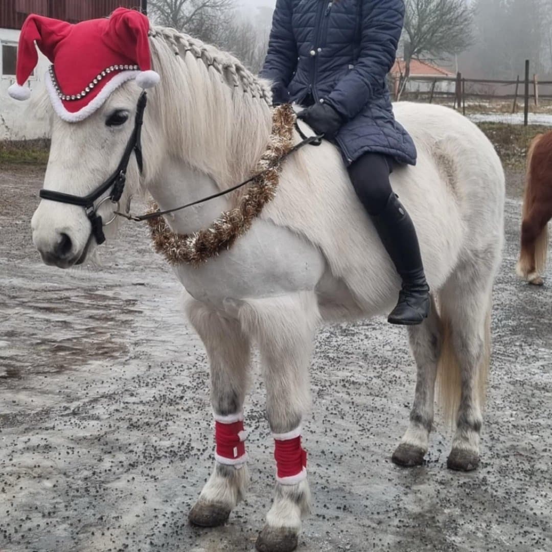 Bild 1 av Andri från vedby boställe