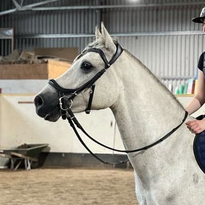 Carroll's icy diamond