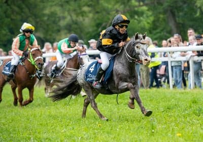 Inlägg 4 av Galopp med titeln SM i ponnygalopp på Strömsholm