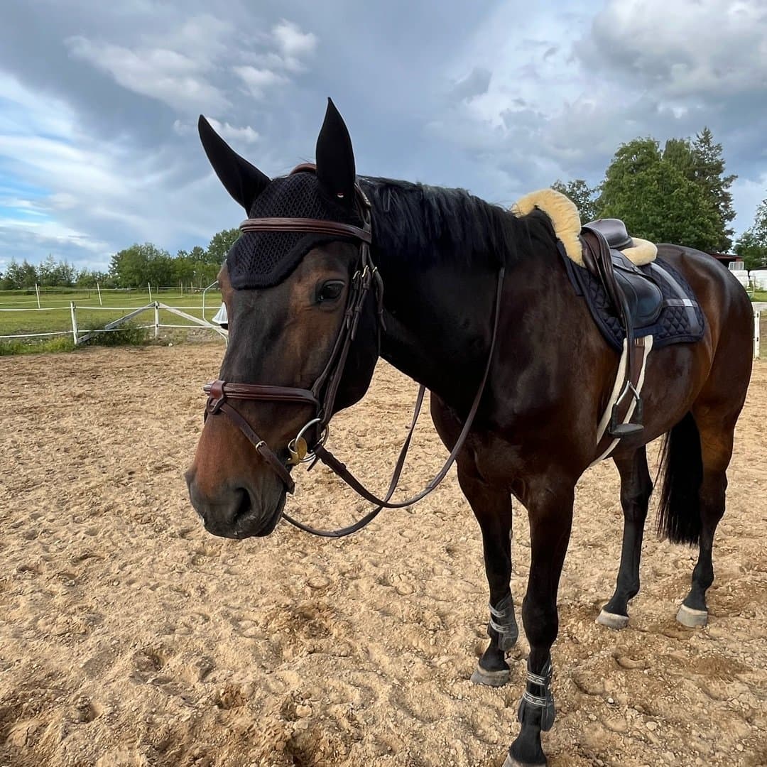 Bild 1 av Tender love