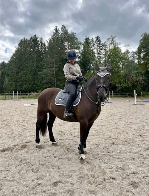 Bild av Riktigt fin hoppglad ridhäst säljes