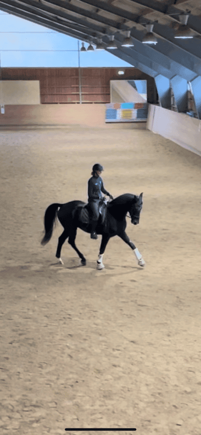 Inlägg 29 av Dressyr med titeln November ❄️🩵☃️