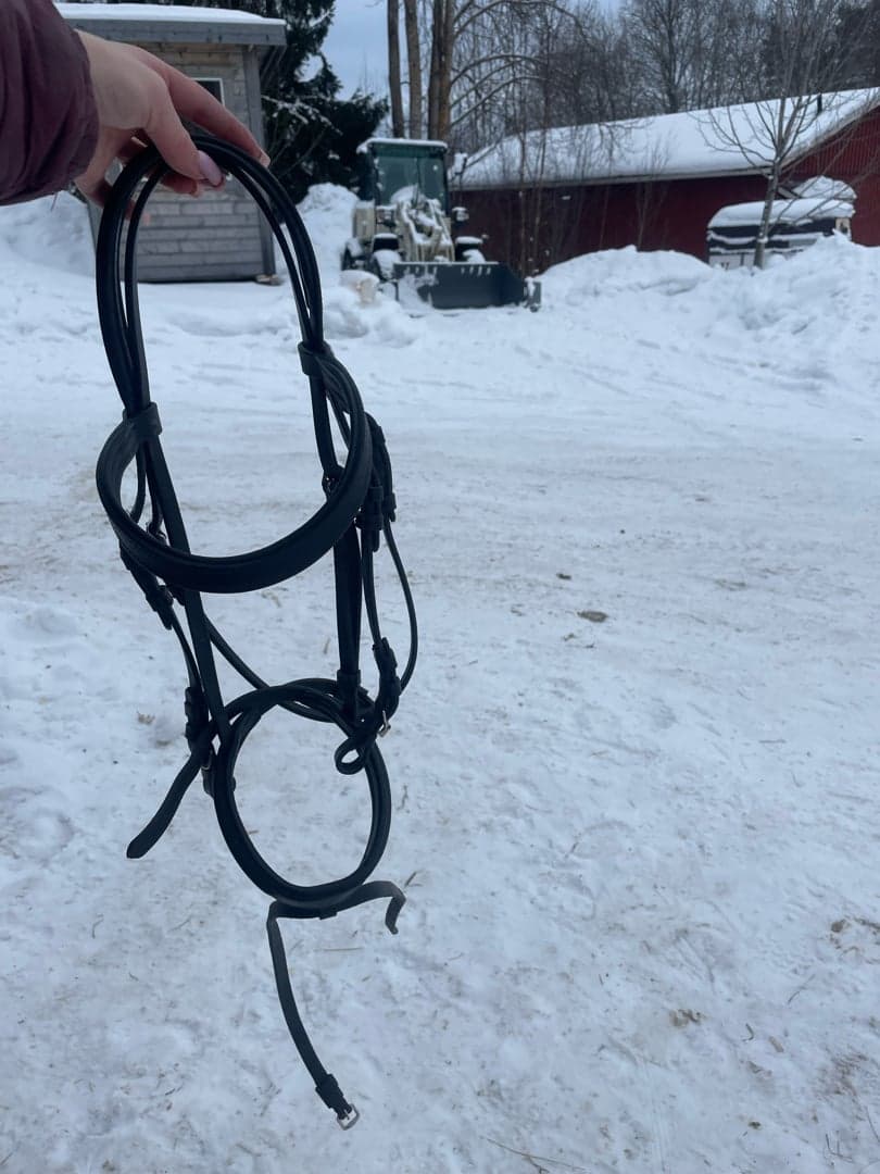 Bild 1 av Svart träns