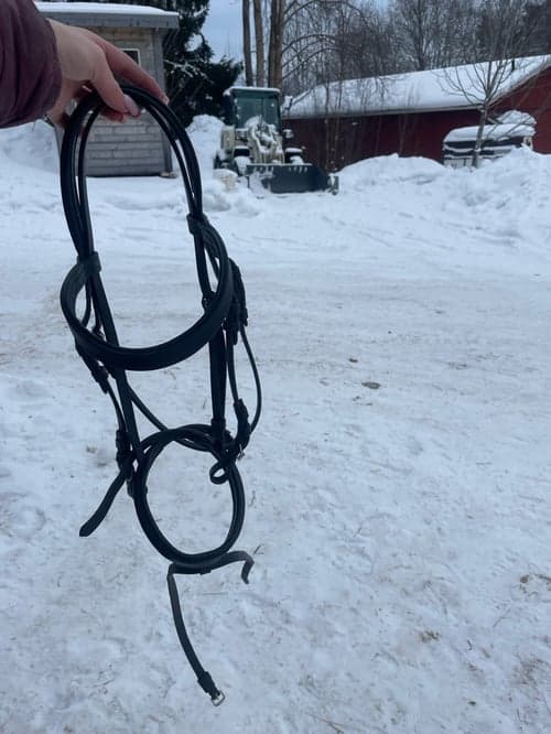 Bild av Svart träns