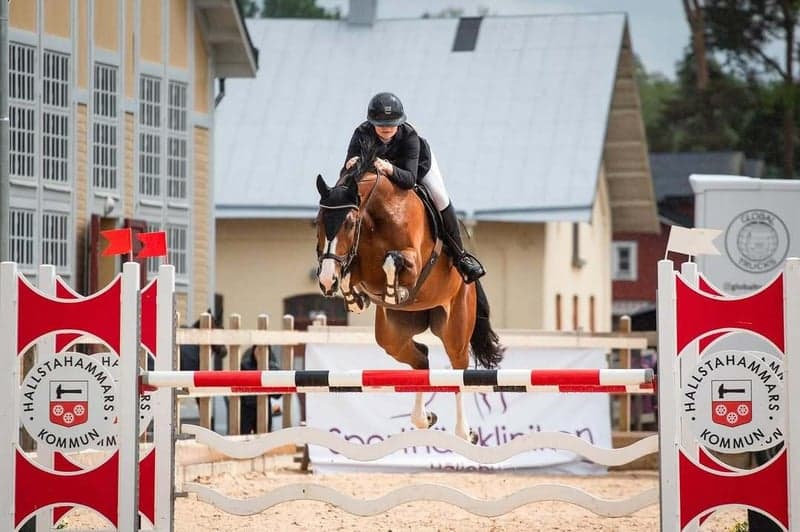 Bild 3 av Uppsittning tävling (Catch-rider)