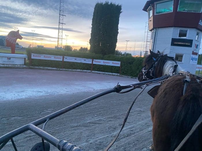 Media 3 av Hagstads Sonett