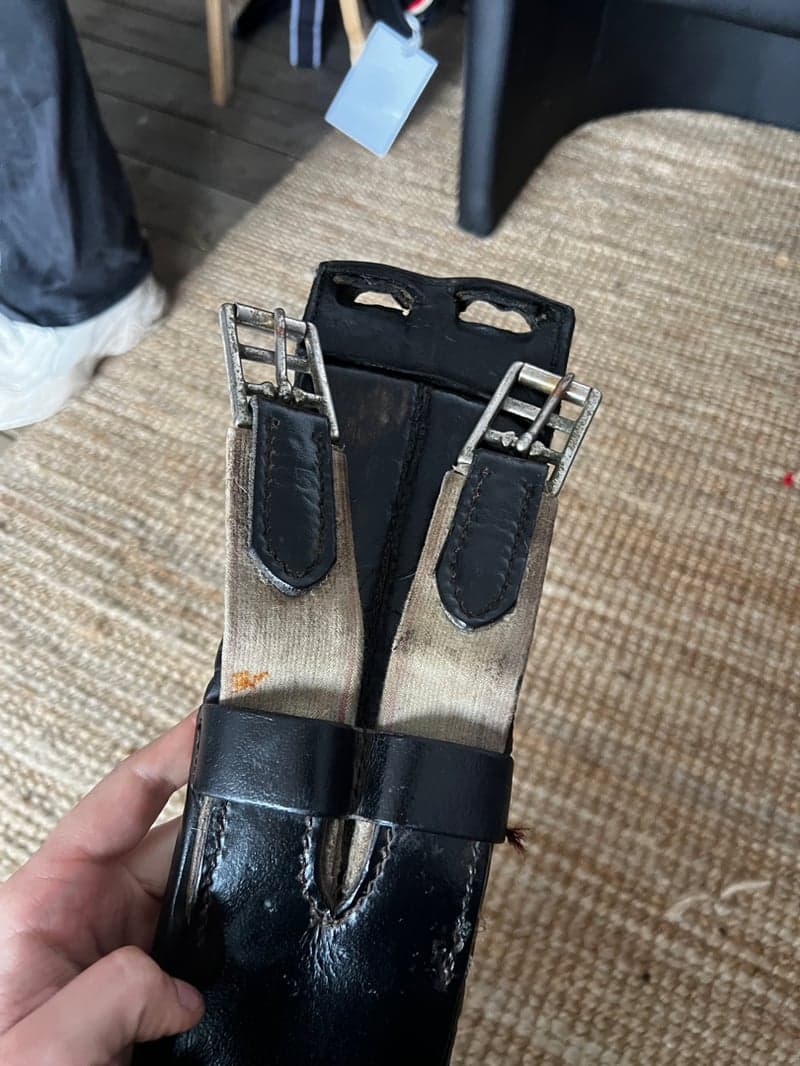 Bild 4 av Dressyrgjord