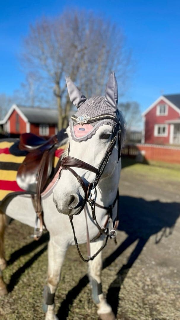 Bild 1 av Leitrim Abbey Breeze