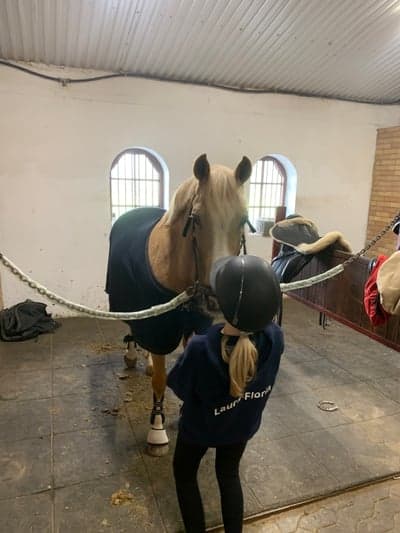 Inlägg 161 av Allround