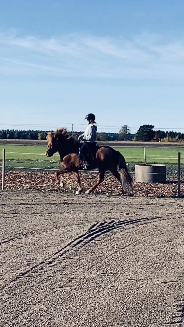 Media 1 av Björk från Kåltorp