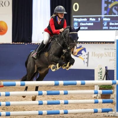 Inlägg 124 av Allround med titeln Linsa cappuccino svrf ungponny 2023👑