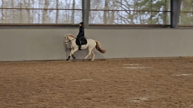 Bild 4 av Sniberups's Smultron