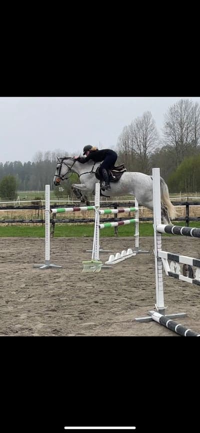 Inlägg 69 av Allround