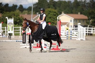 Inlägg 176 av Hoppning med titeln vinst Lb