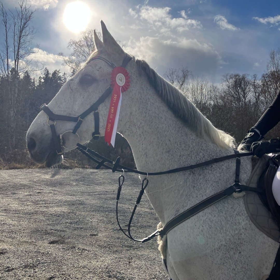 Bild 1 av Catapult Plus