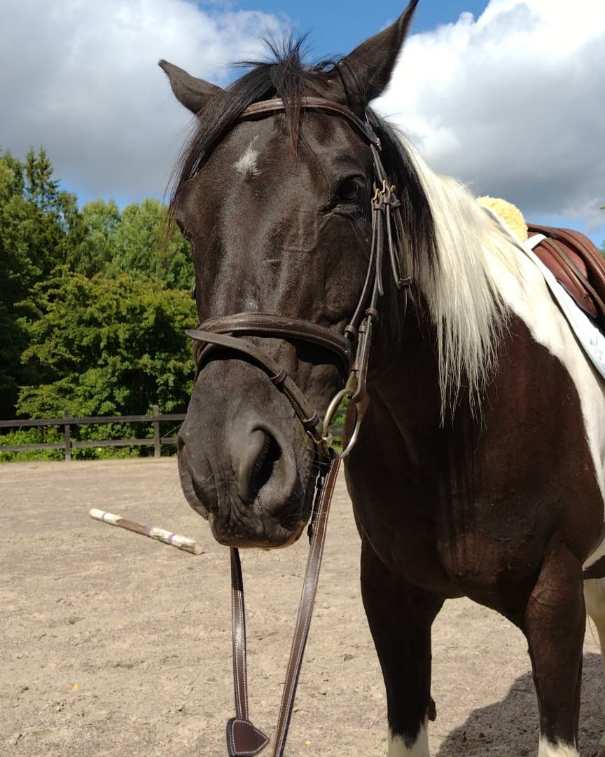 Bild 1 av Jubilee Bar B