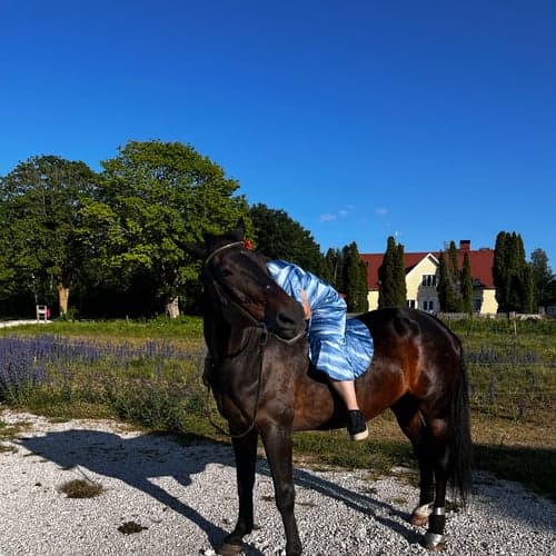 Profilbild av Louisa Moström