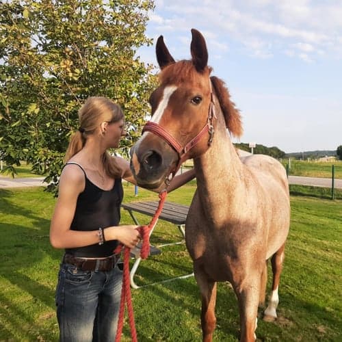 Profilbild av Jessie Pettersson