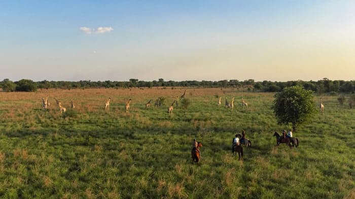 Media 2 av Ridsafari på öppna slätter i Zambia, 5–8 dagar 