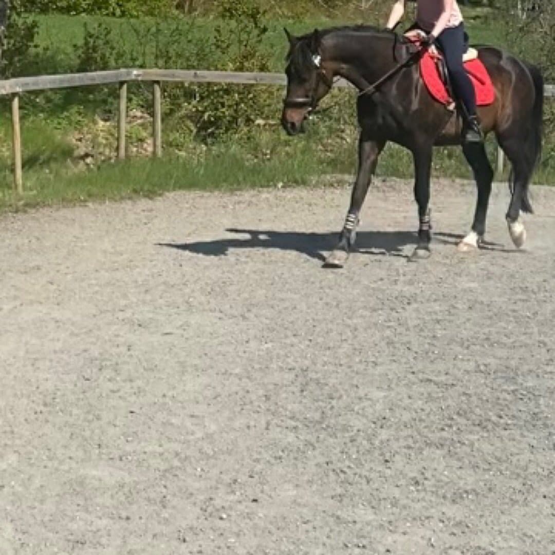 Bild 1 av Open house