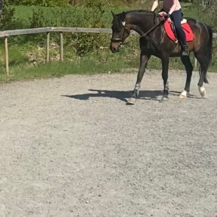 Media 1 av Open house