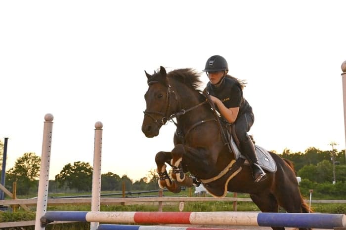 Media 1 of Matildelund jolly rocket