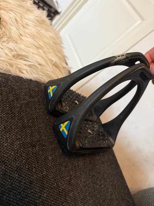 Bild av Svarta stigbyglar