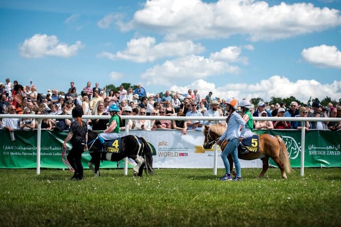 Media 5 av 🇸🇪 Upplev SM i ponnygalopp på nationaldagsgaloppen på Gärdet!