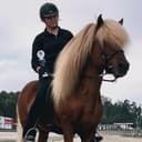 Profilbild av Andrea D.