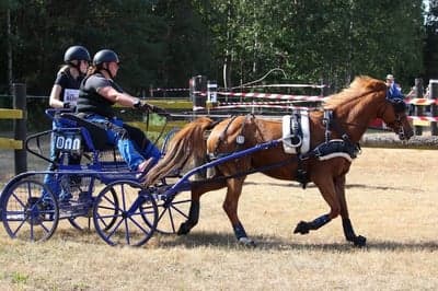 Inlägg 19 av Sportkörning med titeln Maraton Mörrum