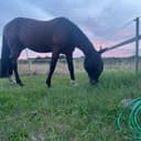 Natalia San+Pedro+Svantesson