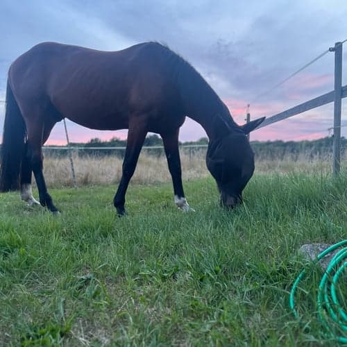 Profilbild av Natalia San+Pedro+Svantesson