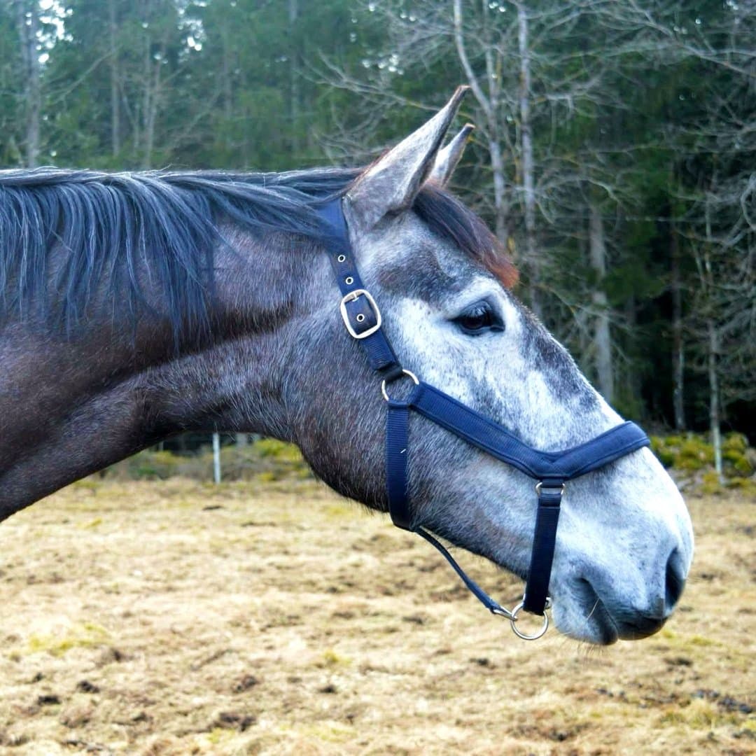 Bild 1 av placeholder text