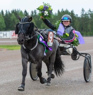 Bild 1 av Maximus II