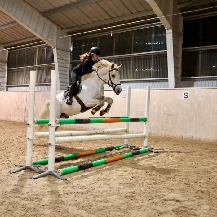 Media 1 of Errismore Ollie