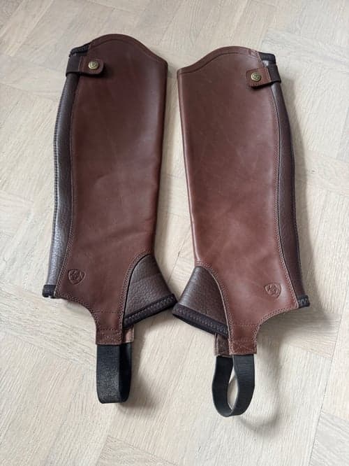 Bild av Bruna concord chaps från Ariat