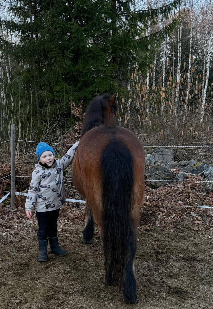 Bild 2 av Ára Snót från Fojehof