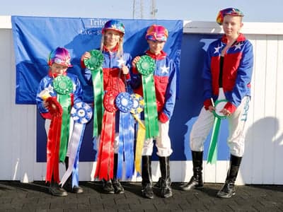 Inlägg 12 av Korsningsponny med titeln Lag SM