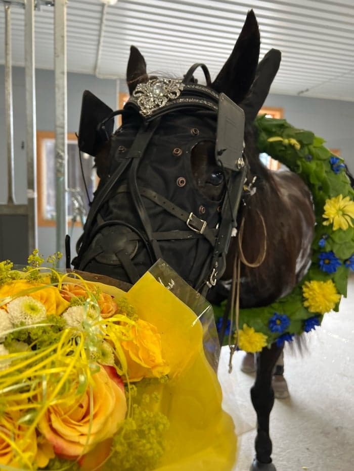 Media 1 of Klack Silver