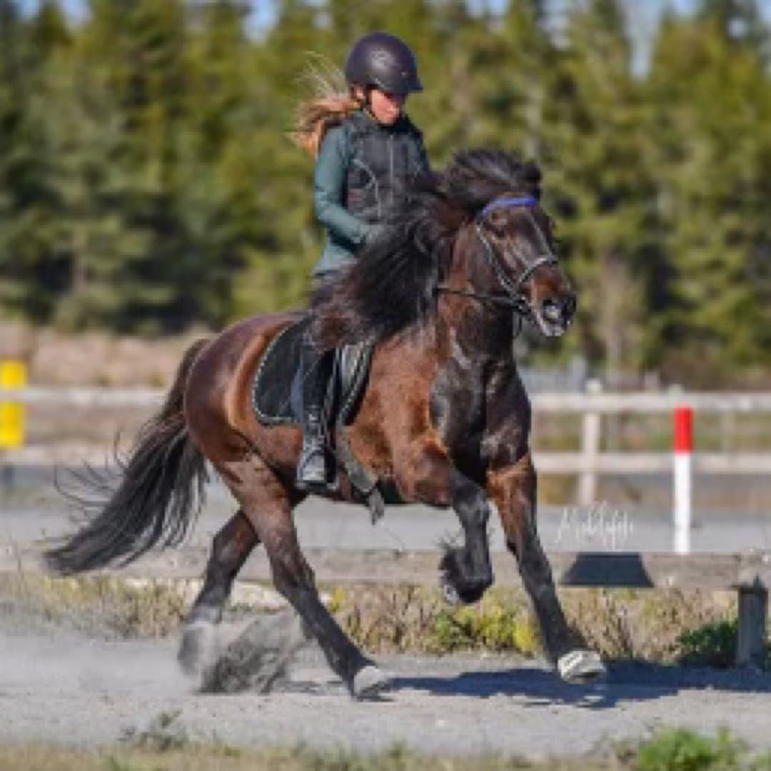 Bild 1 av Herva från Lönneberga