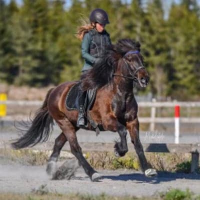 Herva från Lönneberga