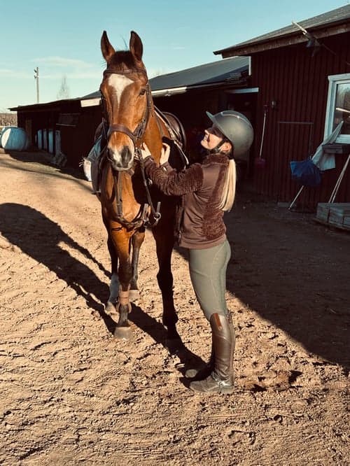 Bild av Trevlig, snäll valack 