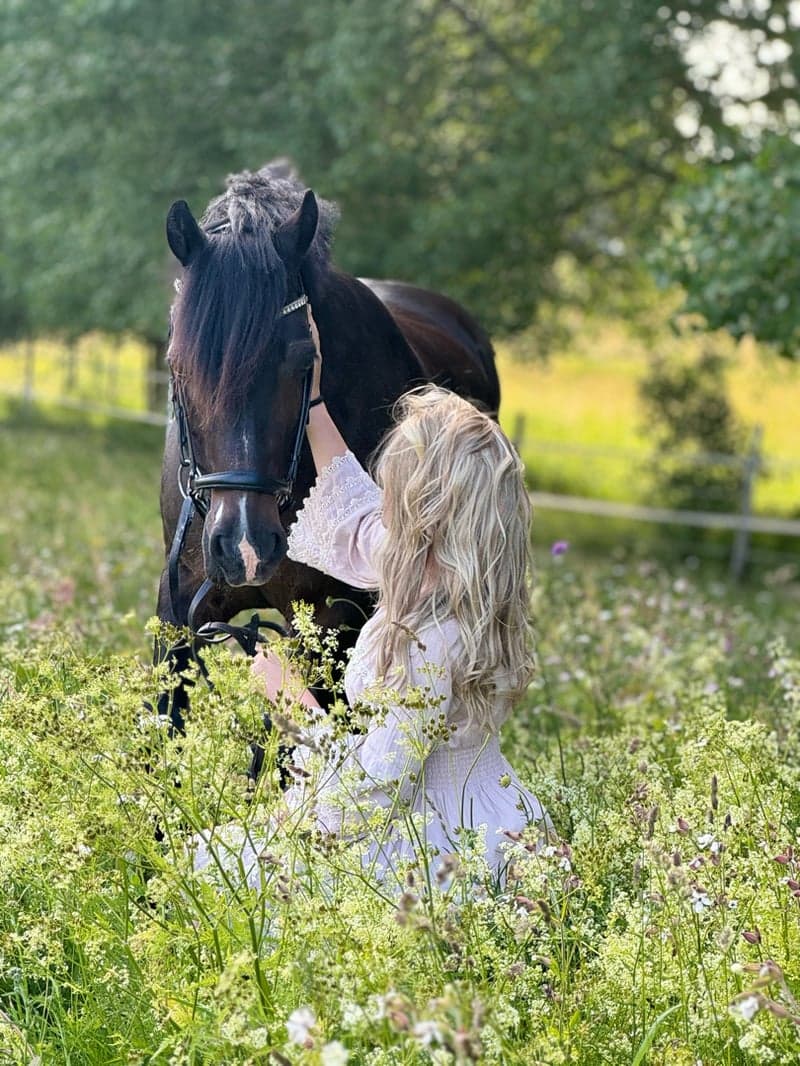 Bild 2 av Mollehusen Araghorn
