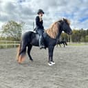 Profilbild av My D.