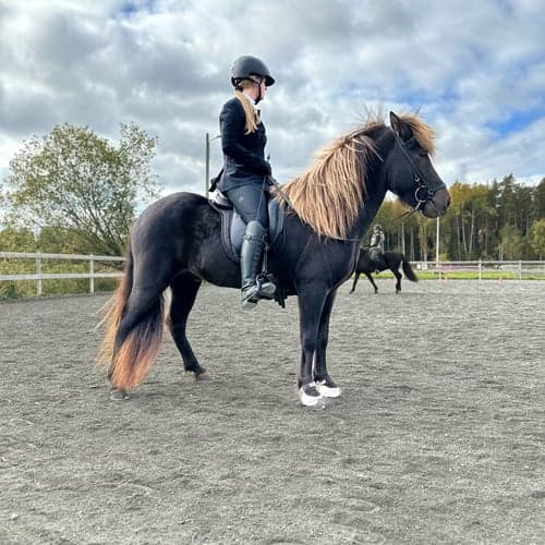 Profilbild av My Damberg