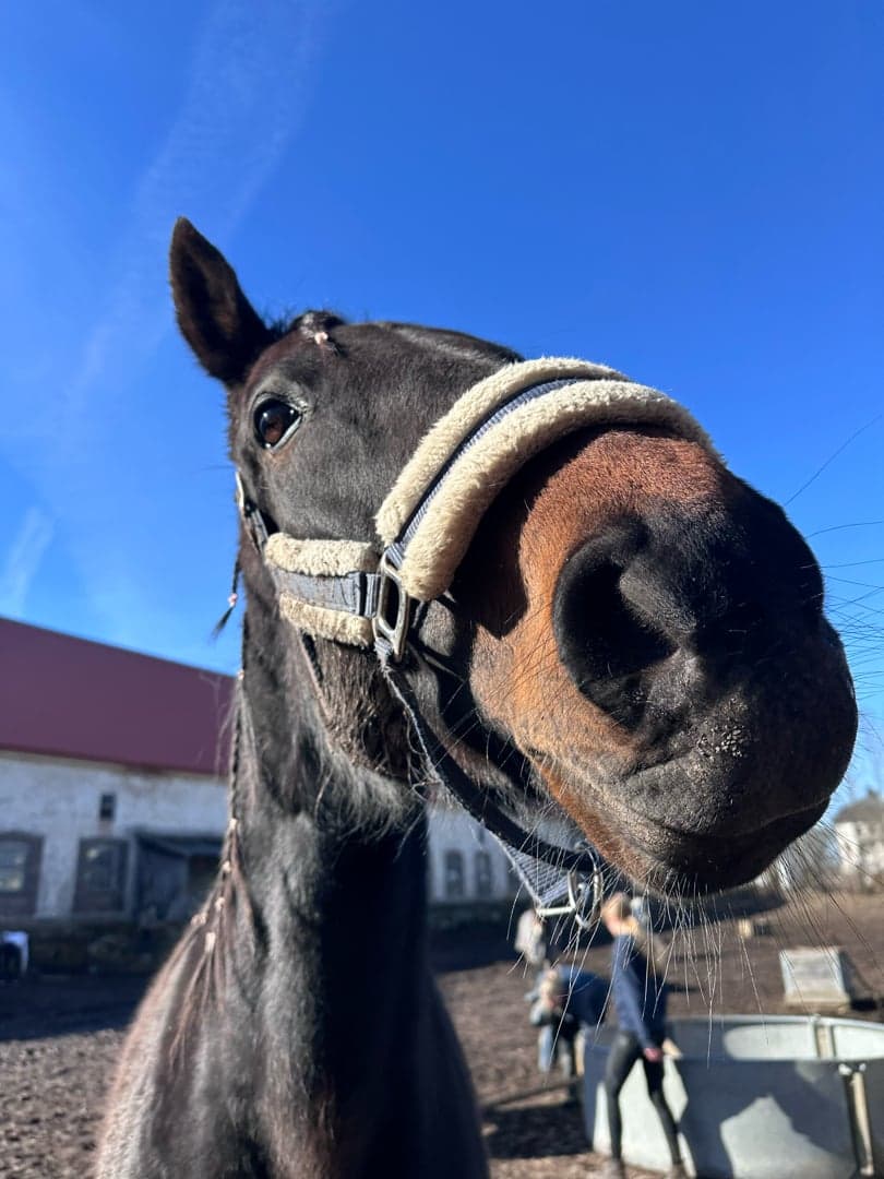 Bild 1 av Midnight Running