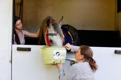 Inlägg 18 av Arabiskt Fullblod med titeln Ponnygalopp 