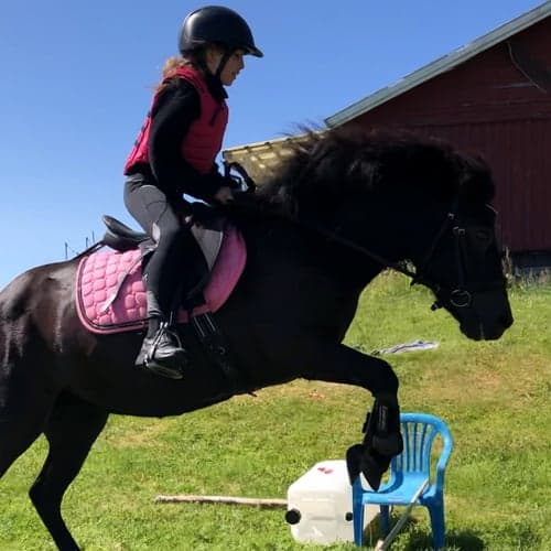 Profilbild av Felicia  Backlund